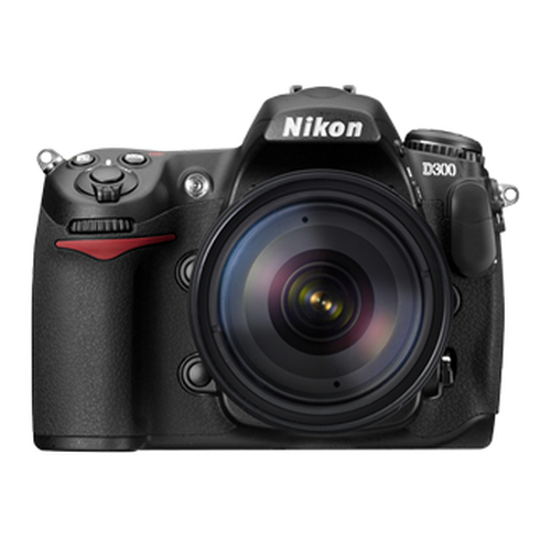 D300