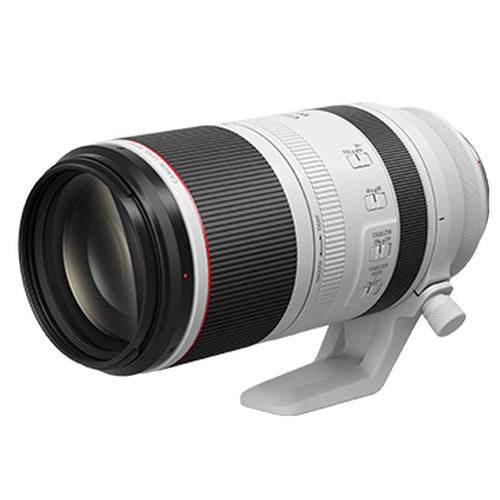 RF100-500mm f/4.5-7.1L IS USM