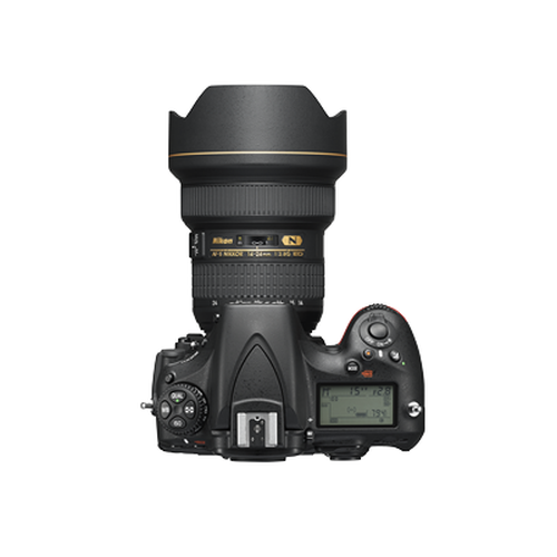 D810A