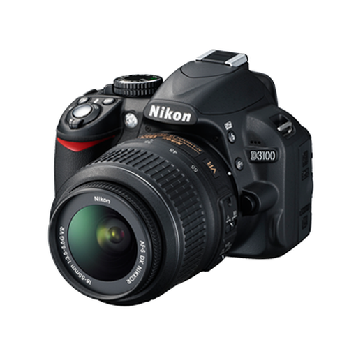 D3100