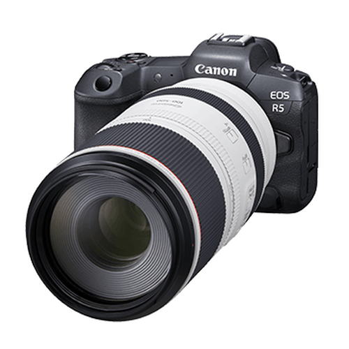 RF100-500mm f/4.5-7.1L IS USM