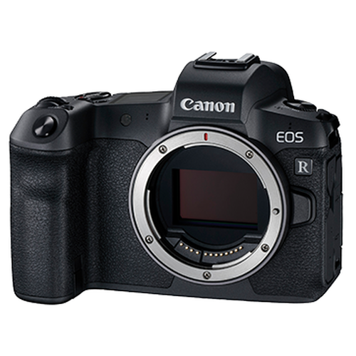 EOS R (Body)