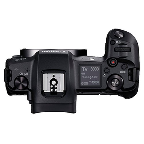 EOS R (Body)