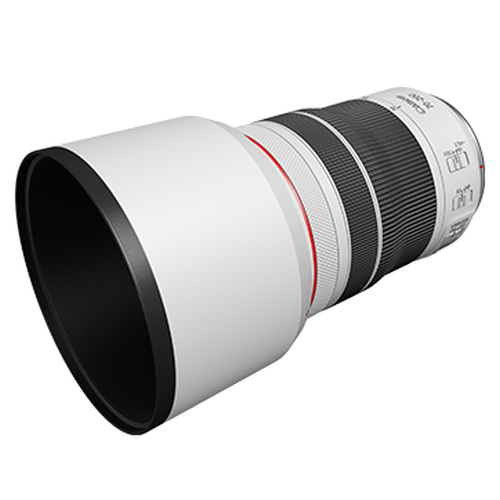 RF70-200mm f/4L IS USM