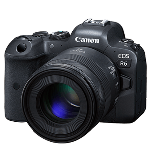 RF85mm f/2 IS STM
